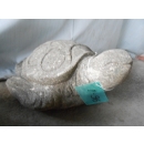 Statue tortue