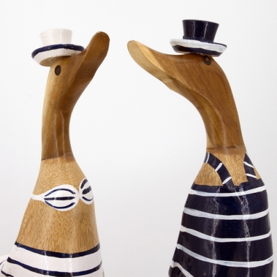 Canard maillot de bain et tongs