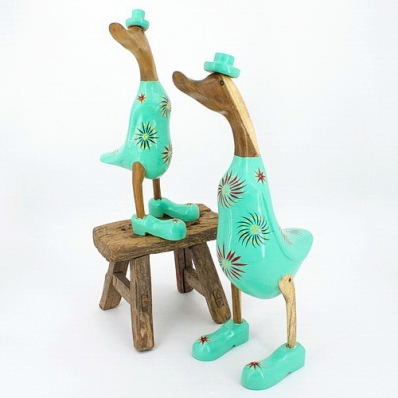 Canard vert d'eau spirales