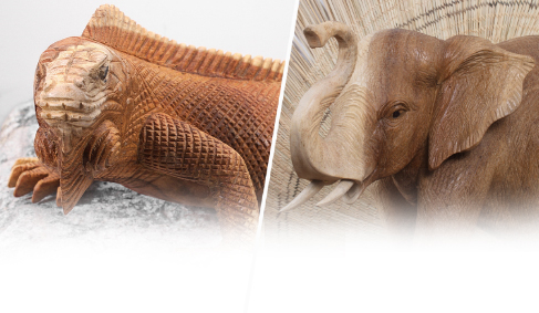 Animaux