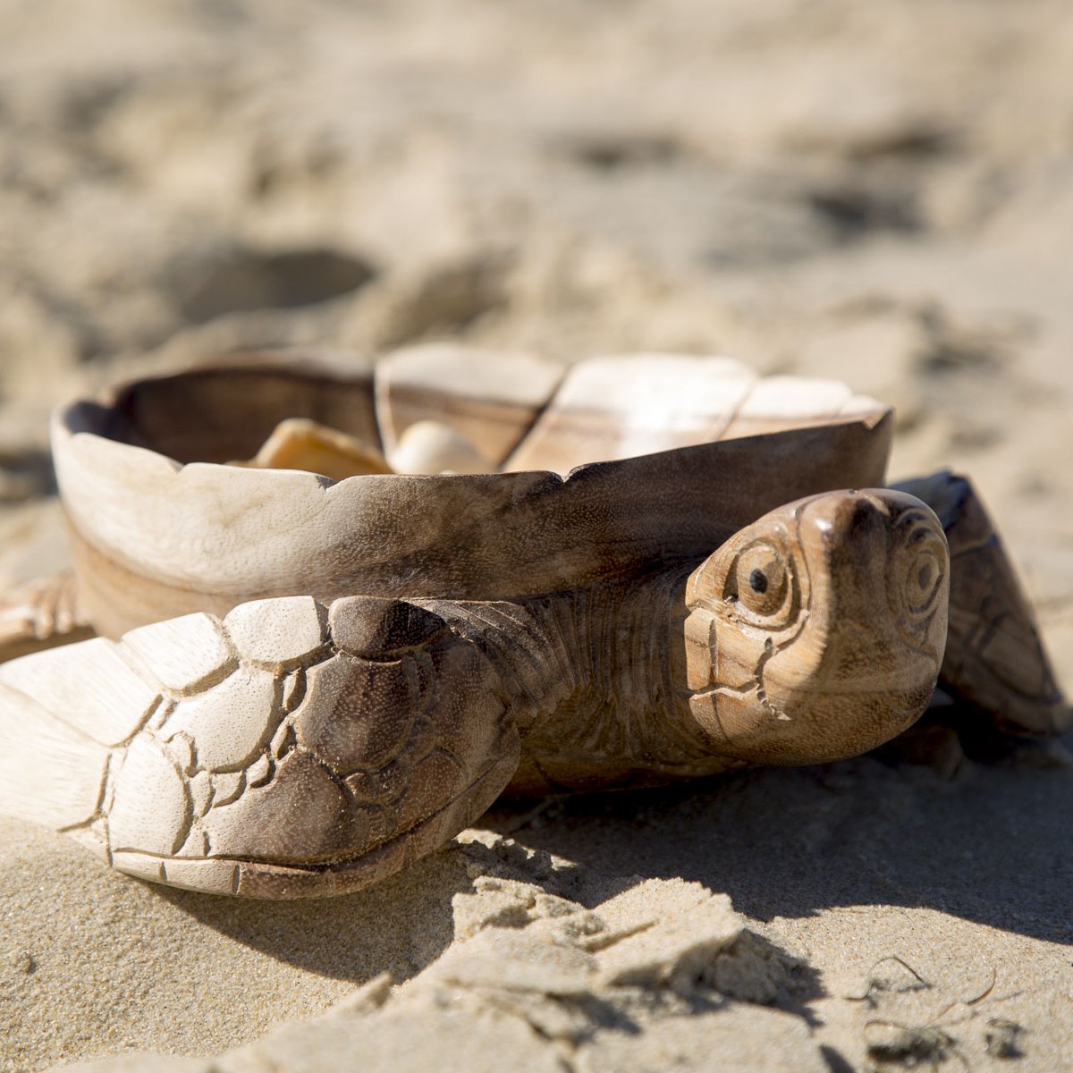 Tortue en bois de Suar l Objets Déco l Containers du Monde