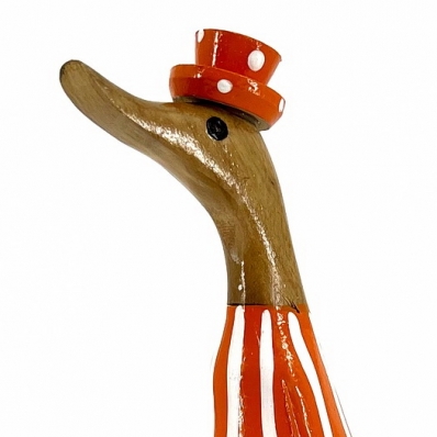 canard couleur orange acidulé