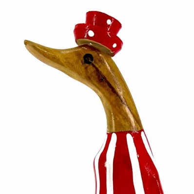 canard couleur rouge acidulé