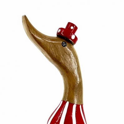 canard couleur rouge acidulé