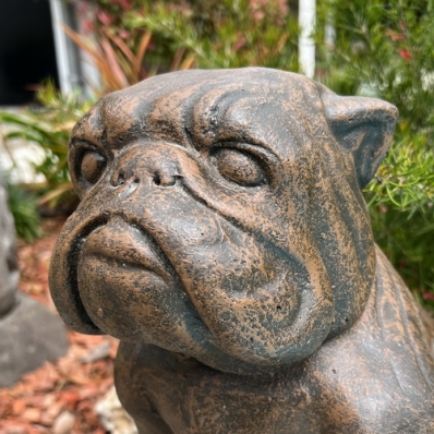 Statue chien Bouledogue brun