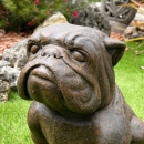 Statue chien Bouledogue brun