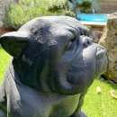 Statue chien bouledogue noir